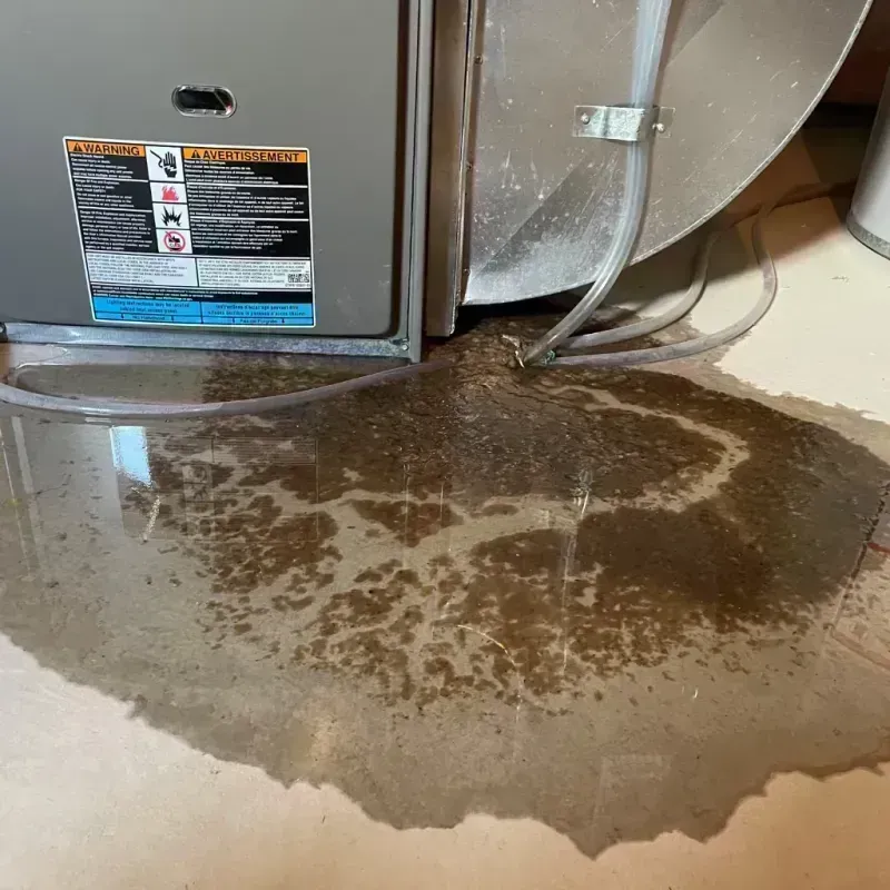 Appliance Leak Cleanup in Du Quoin, IL